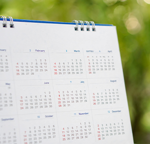 Calendar - Schnepf Elementary